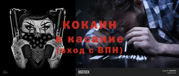 гидра Верхний Тагил