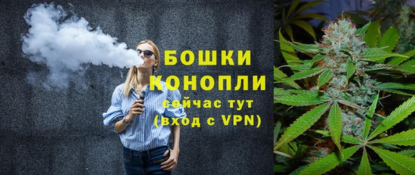 сатива Медногорск