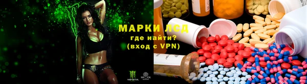 ALPHA PVP Майский