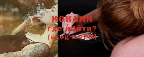 гидра Верхний Тагил