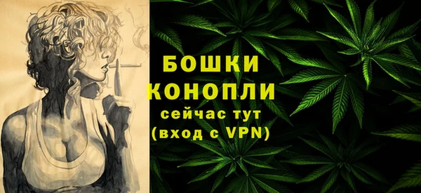 гидра Верхний Тагил