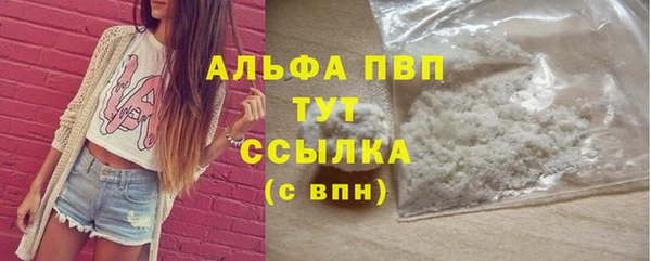 индика Магадан