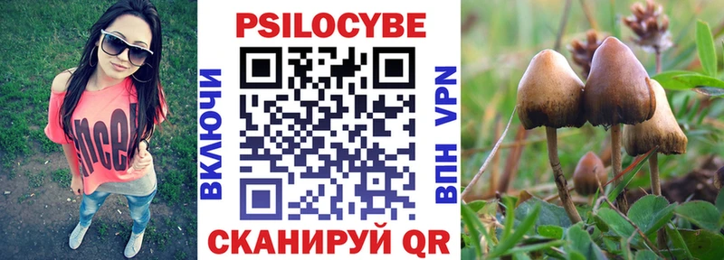 Псилоцибиновые грибы Psilocybe  МЕГА как зайти  Воткинск 