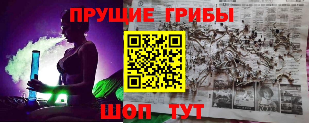 Галлюциногенные грибы GOLDEN TEACHER  Воткинск  Галлюциногенные грибы MAGIC MUSHROOMS 